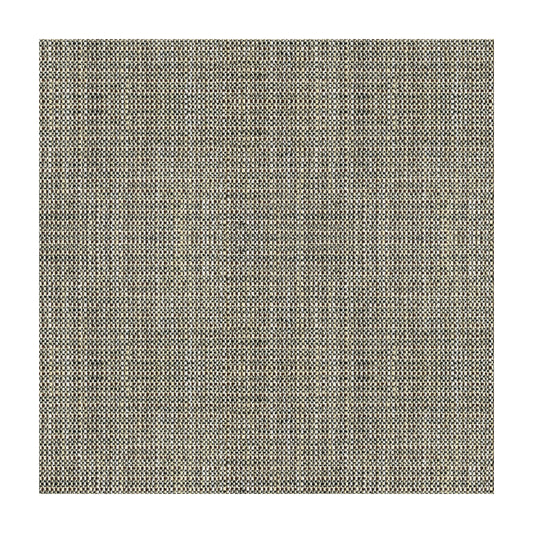 KRAVET BASICS RAFAEL COAL