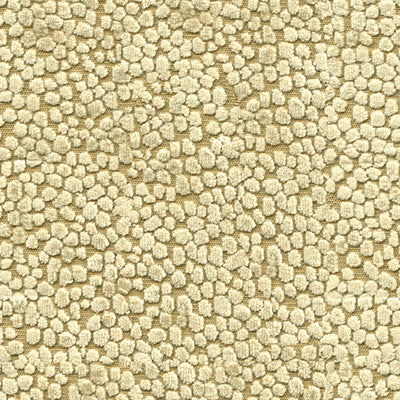 Candice Olson for Kravet: Kori 34131.16.0 Gold