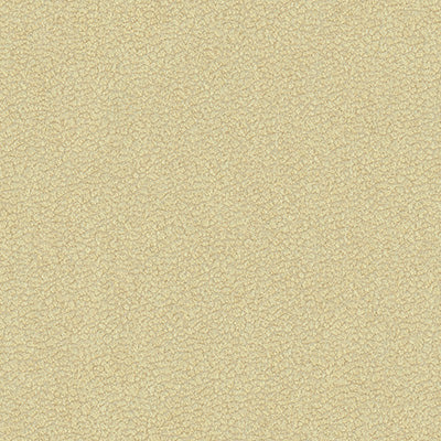 Candice Olson for Kravet: Jatoba 34177.16.0 Oyster