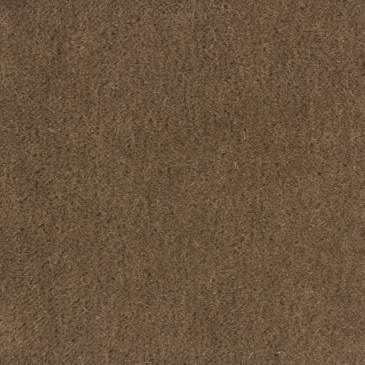 KRAVET COUTURE WINDSOR MOHAIR FALCON