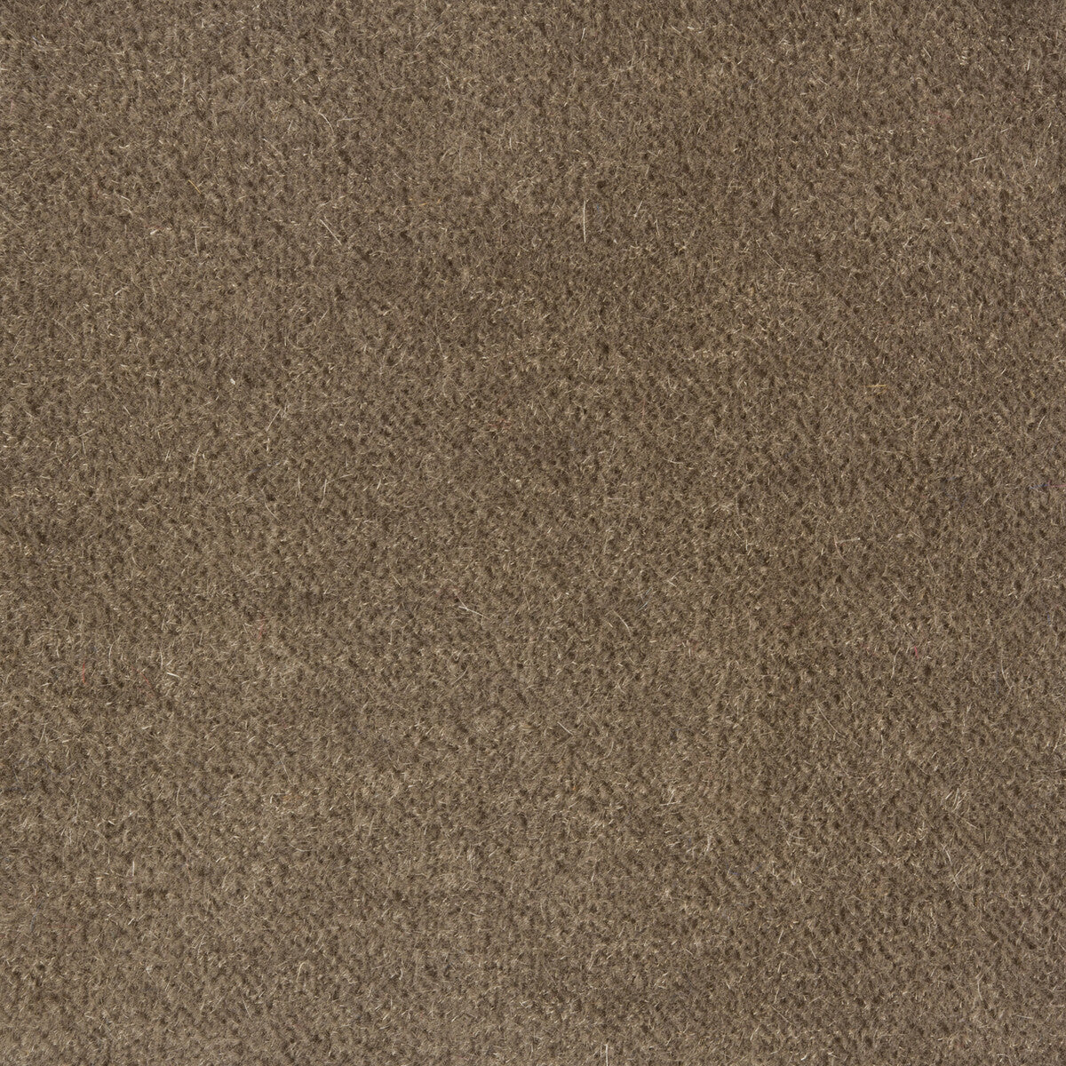 KRAVET COUTURE WINDSOR MOHAIR MUSHROOM