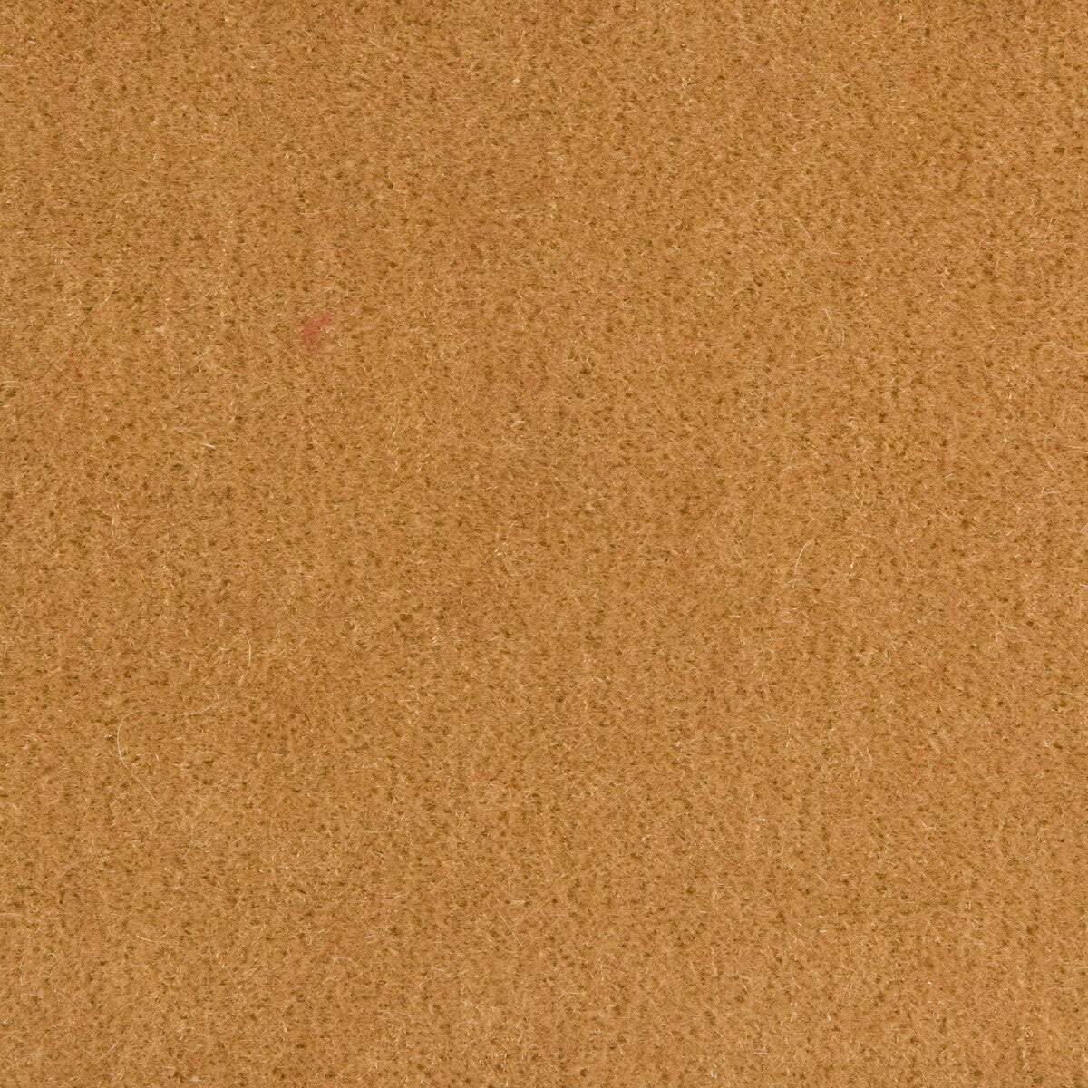 KRAVET COUTURE WINDSOR MOHAIR NOUGAT