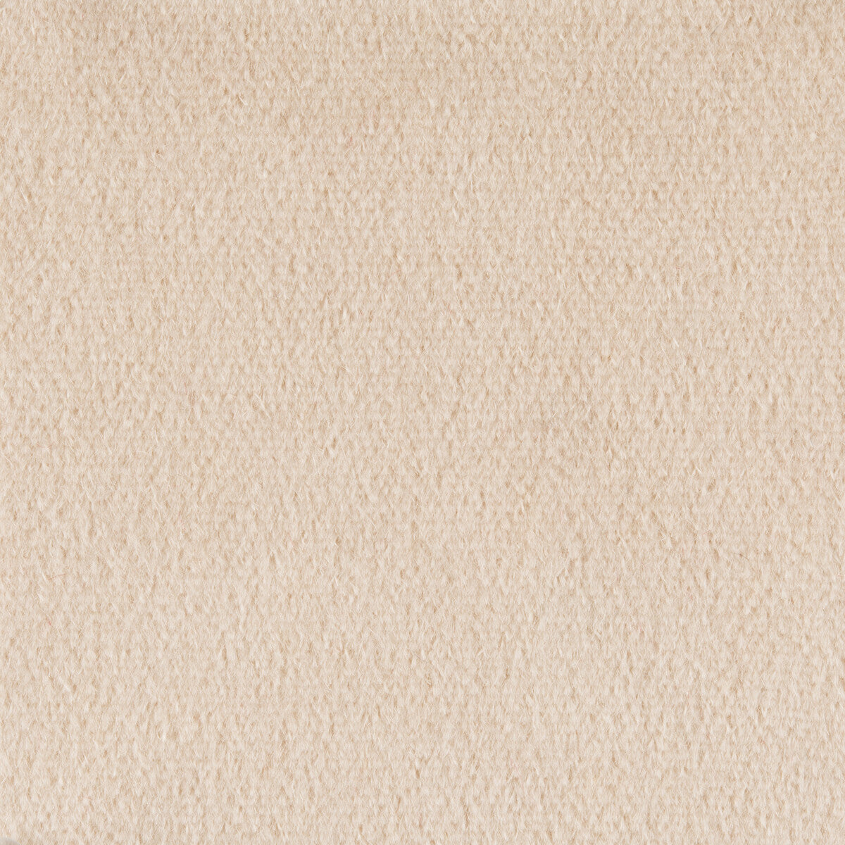 KRAVET COUTURE PLAZZO MOHAIR SAND