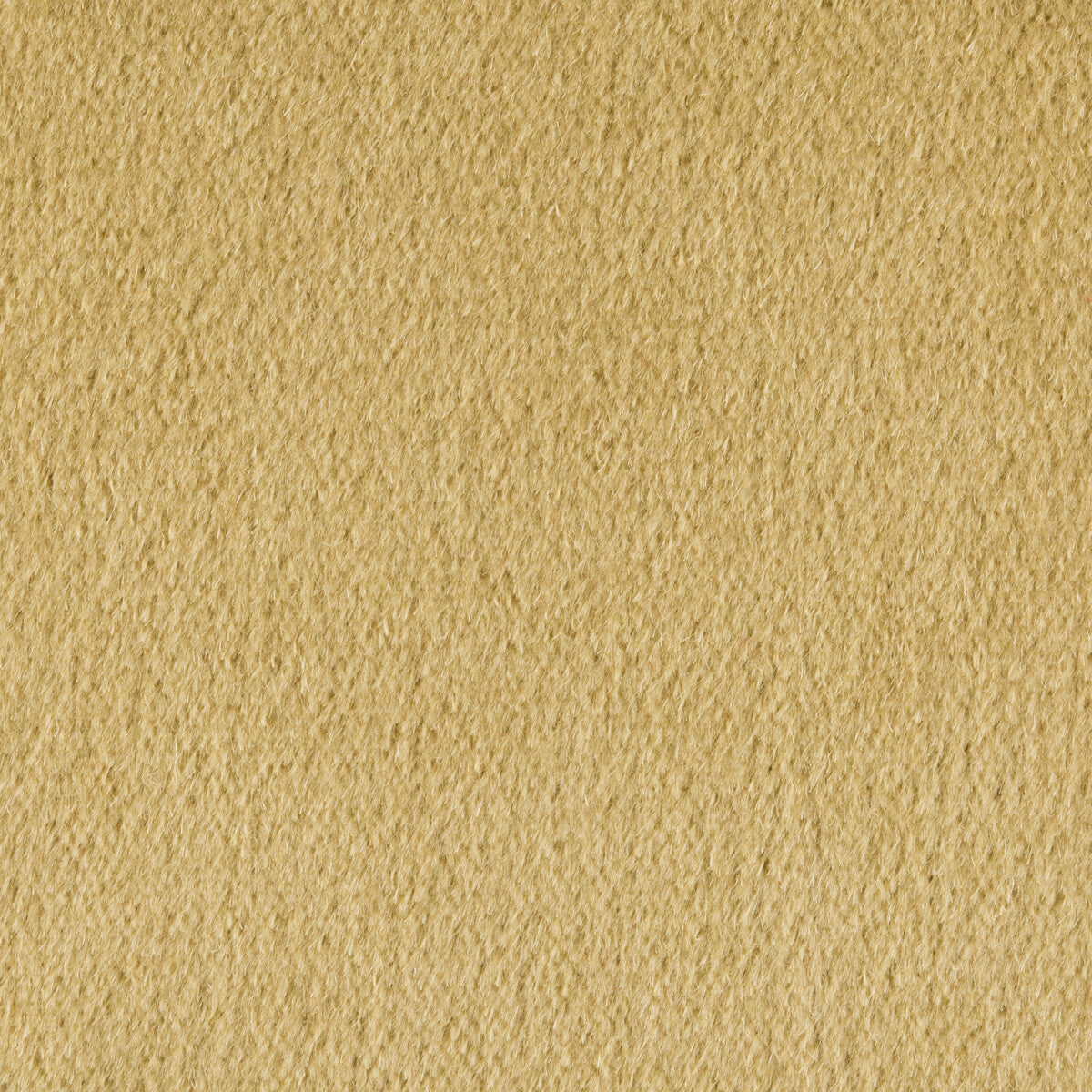 KRAVET COUTURE PLAZZO MOHAIR DESERT