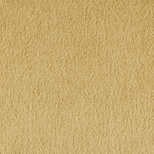 KRAVET COUTURE PLAZZO MOHAIR DESERT