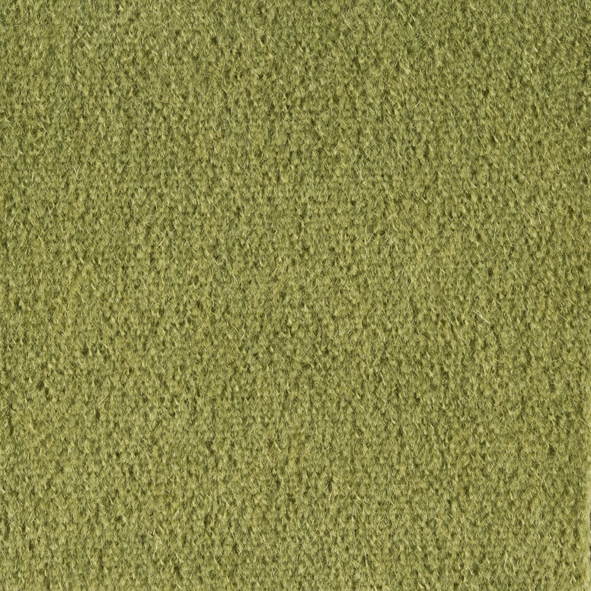 KRAVET COUTURE PLAZZO MOHAIR ELM