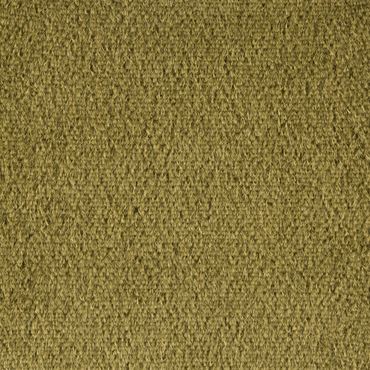 KRAVET COUTURE PLAZZO MOHAIR MOSS