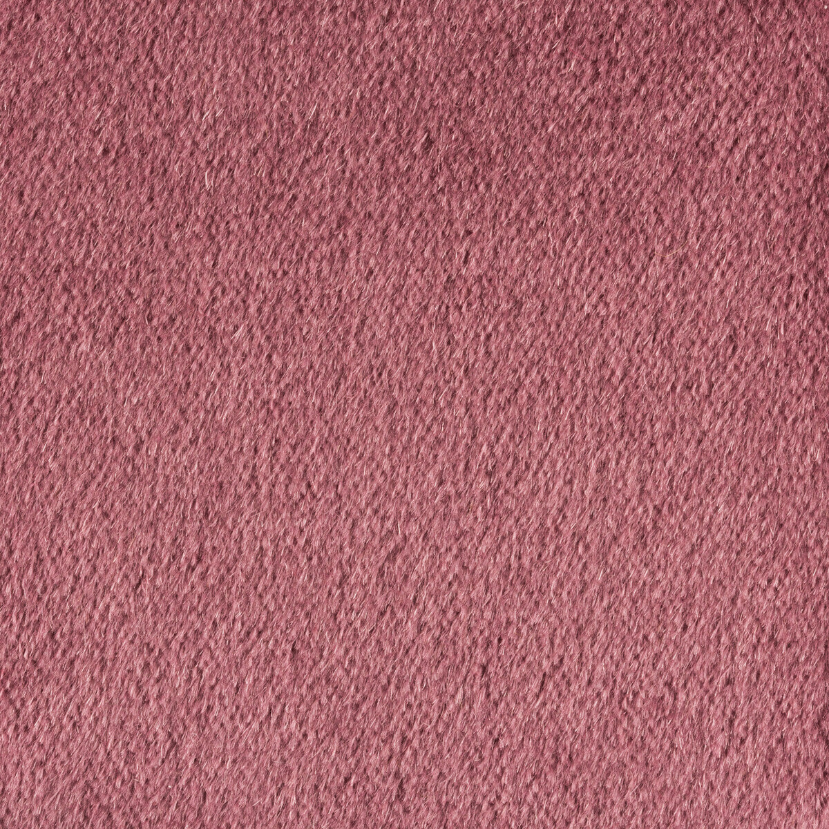 KRAVET COUTURE PLAZZO MOHAIR TULIPWOOD