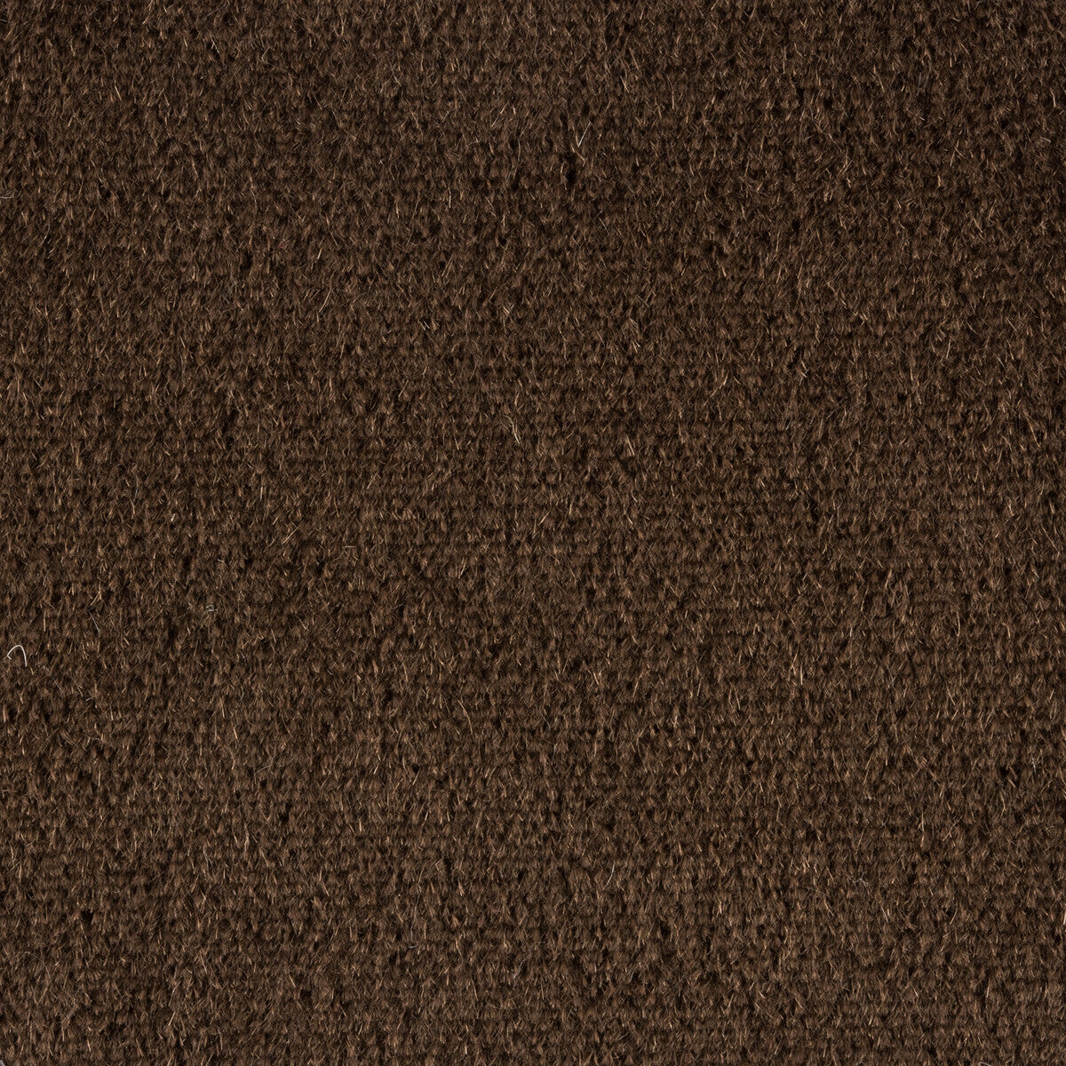 KRAVET COUTURE PLAZZO MOHAIR JAVA