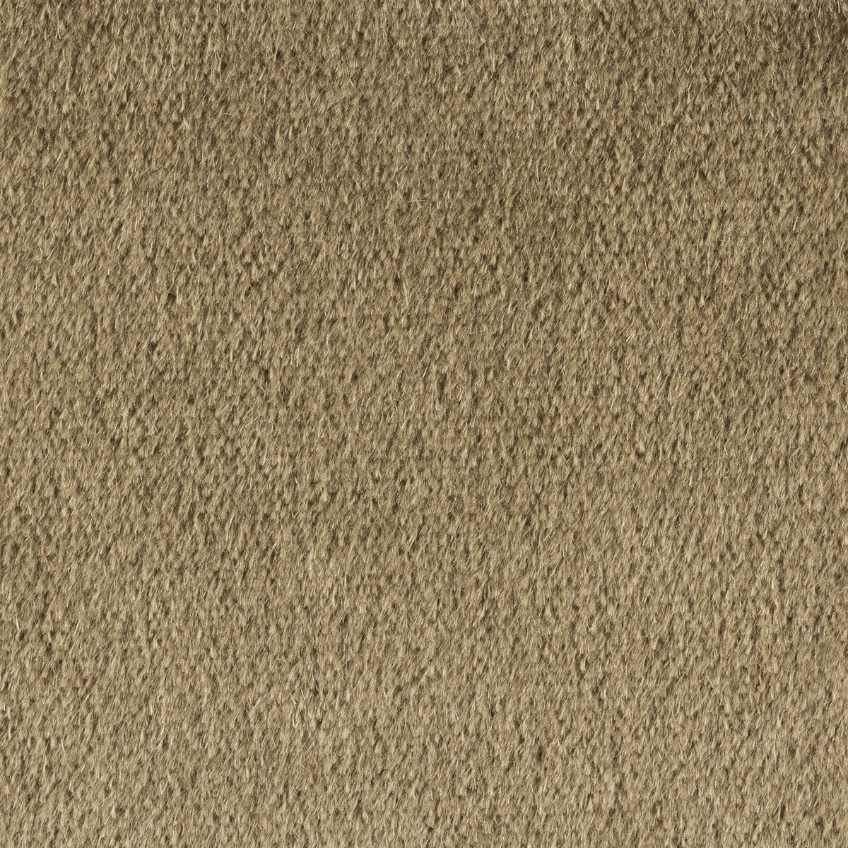 KRAVET COUTURE PLAZZO MOHAIR LEAD