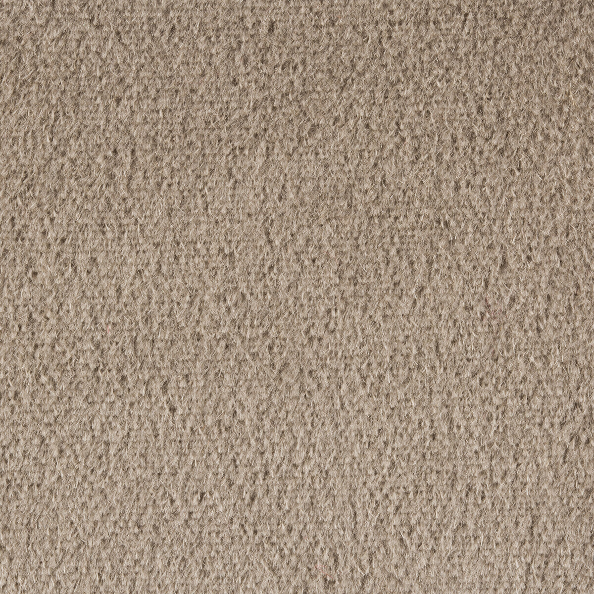 KRAVET COUTURE PLAZZO MOHAIR FAWN