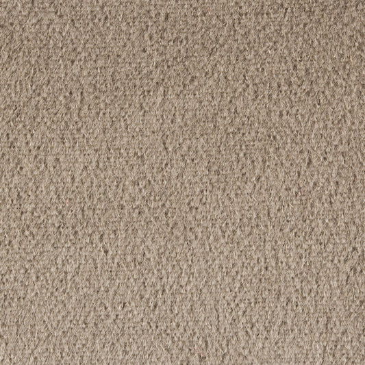 KRAVET COUTURE PLAZZO MOHAIR FAWN