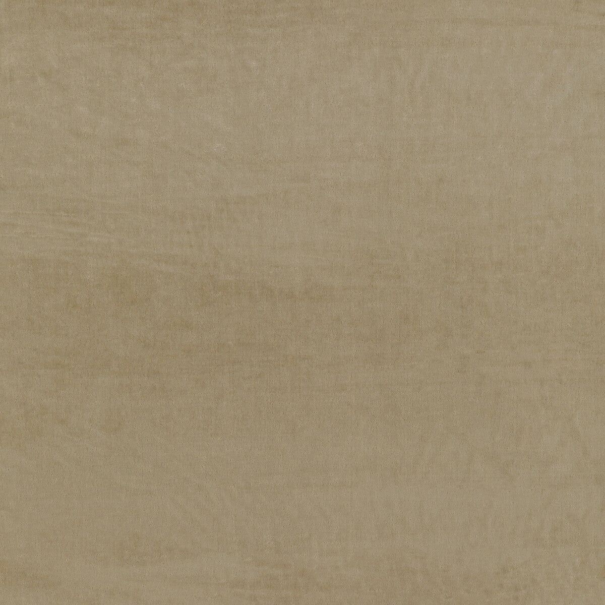 KRAVET COUTURE FINE LINES LATTE