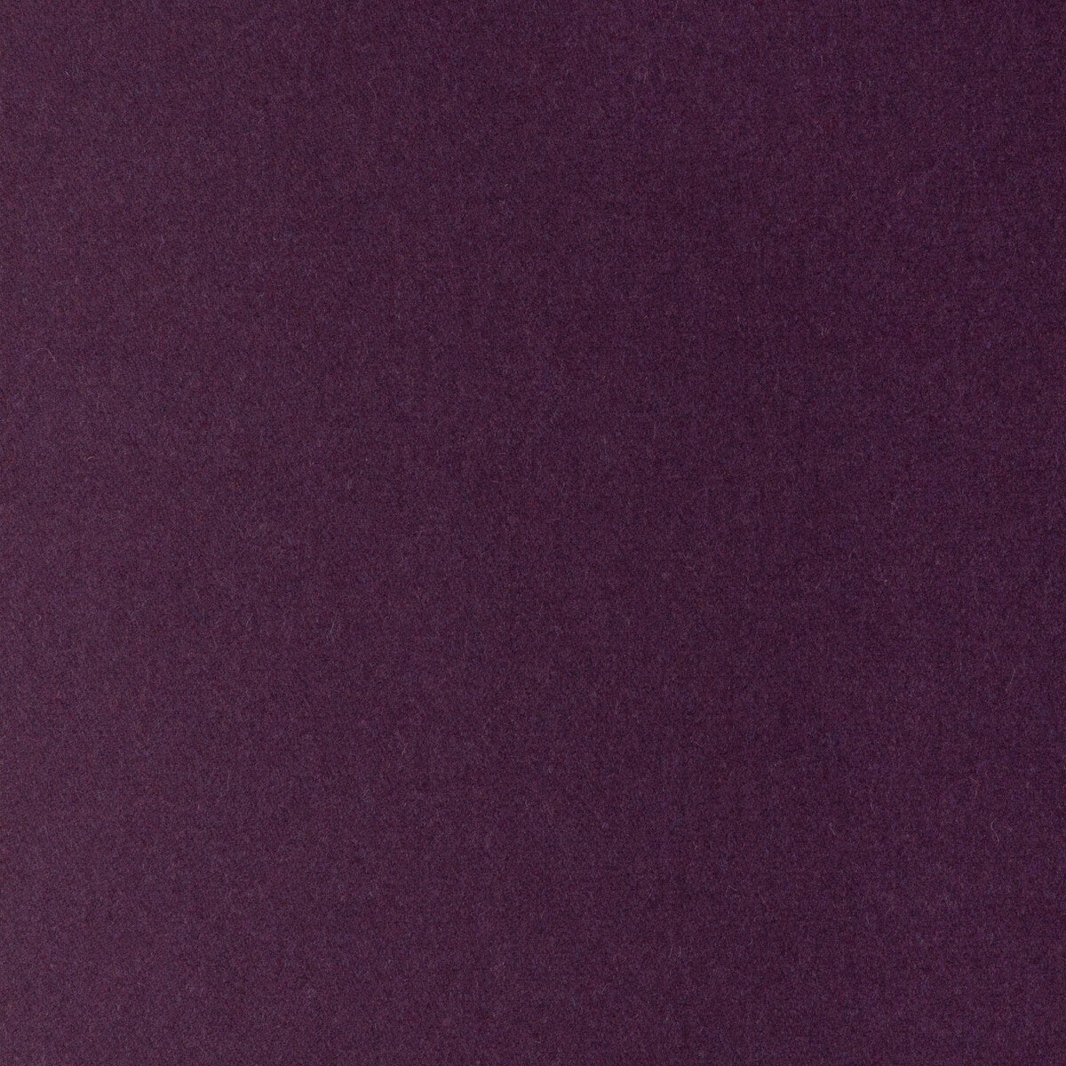 KRAVET CONTRACT JEFFERSON WOOL BLACKBERRY
