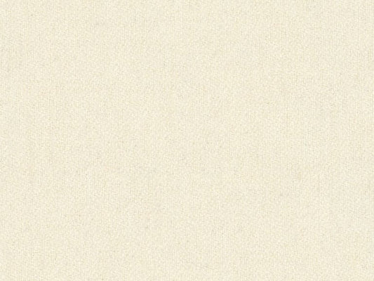 Calvin Klein for Kravet: Basanite 34615.1.0 Talc