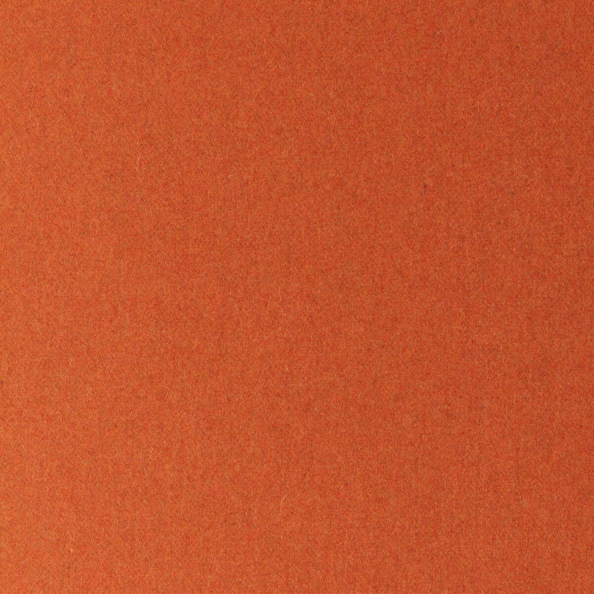 KRAVET CONTRACT JEFFERSON WOOL SQUASH