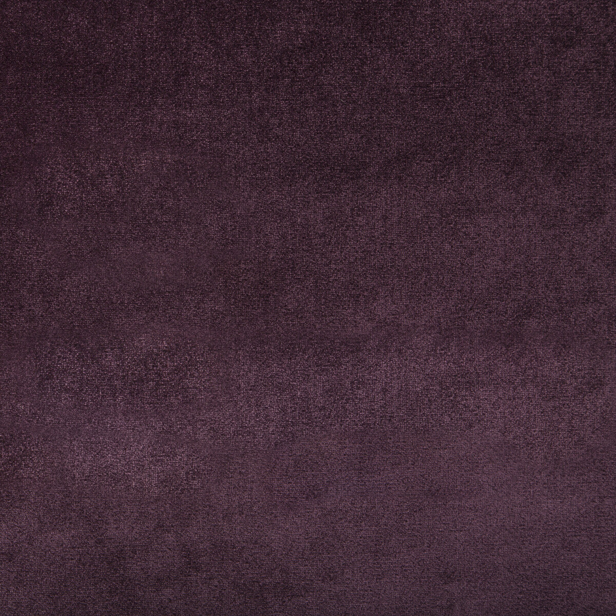 KRAVET COUTURE DUCHESS VELVET PLUM