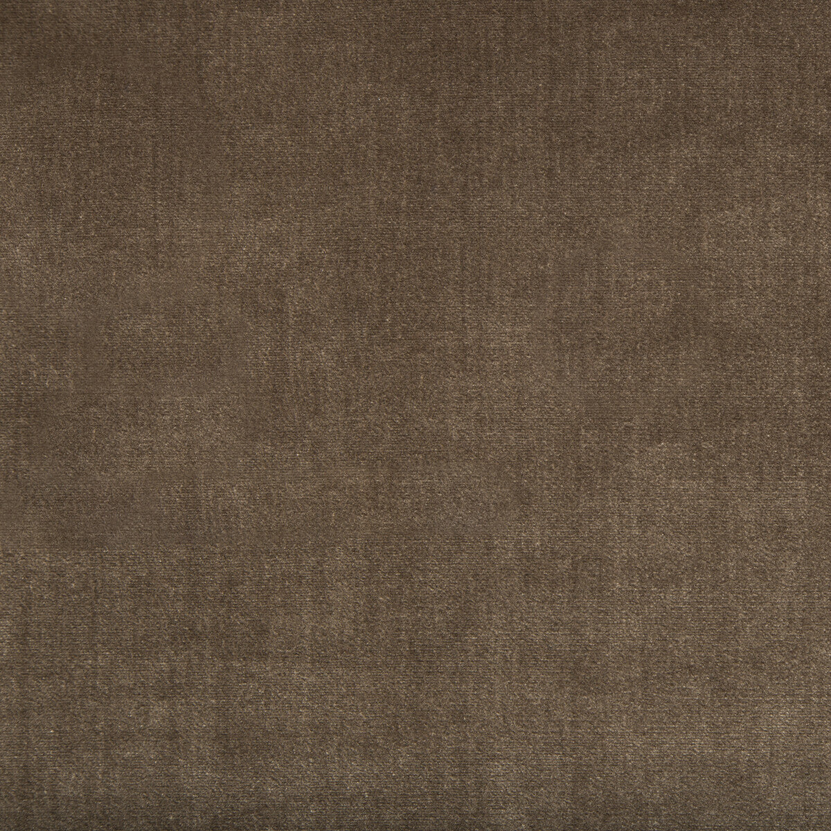 KRAVET COUTURE DUCHESS VELVET MINK