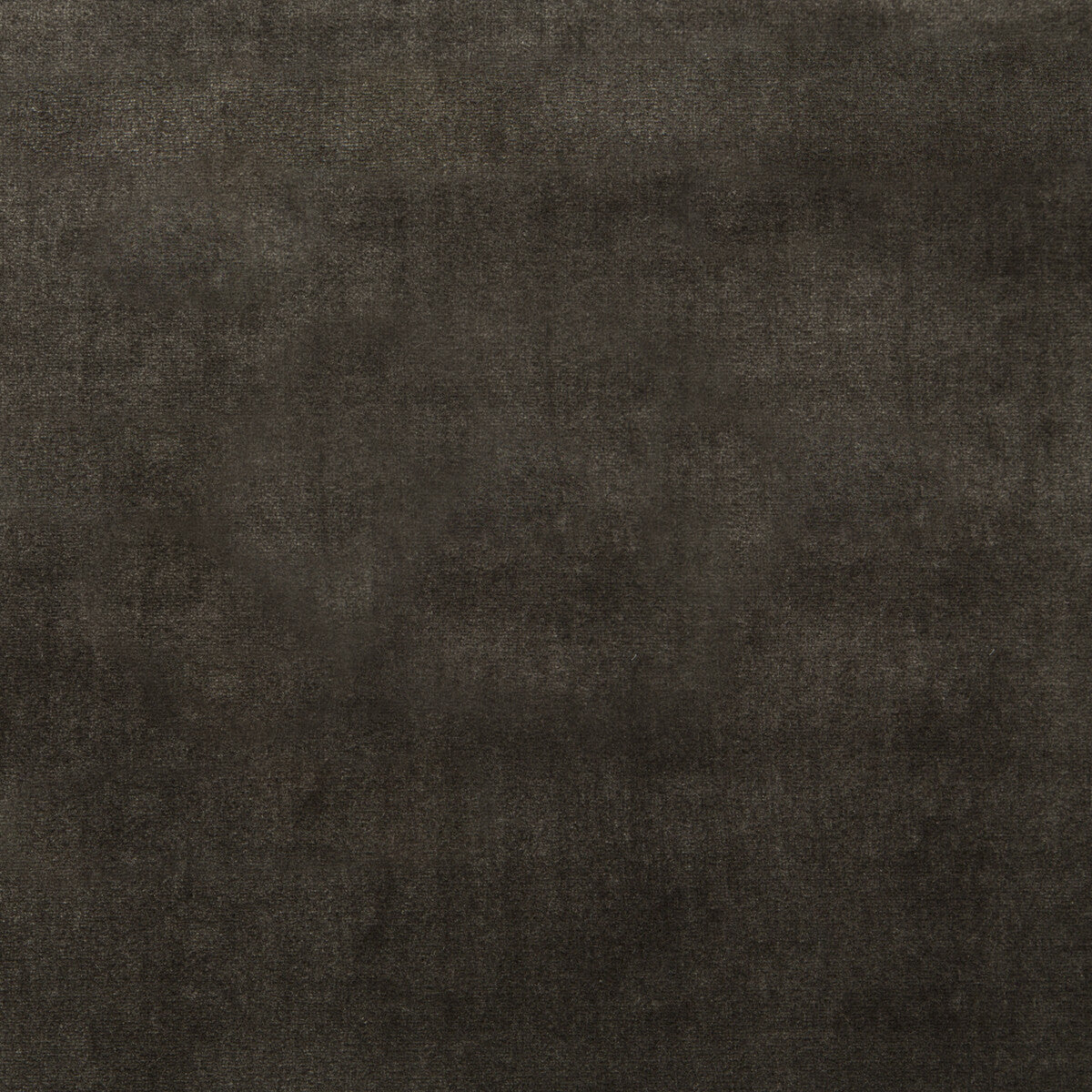 KRAVET COUTURE DUCHESS VELVET CHARCOAL
