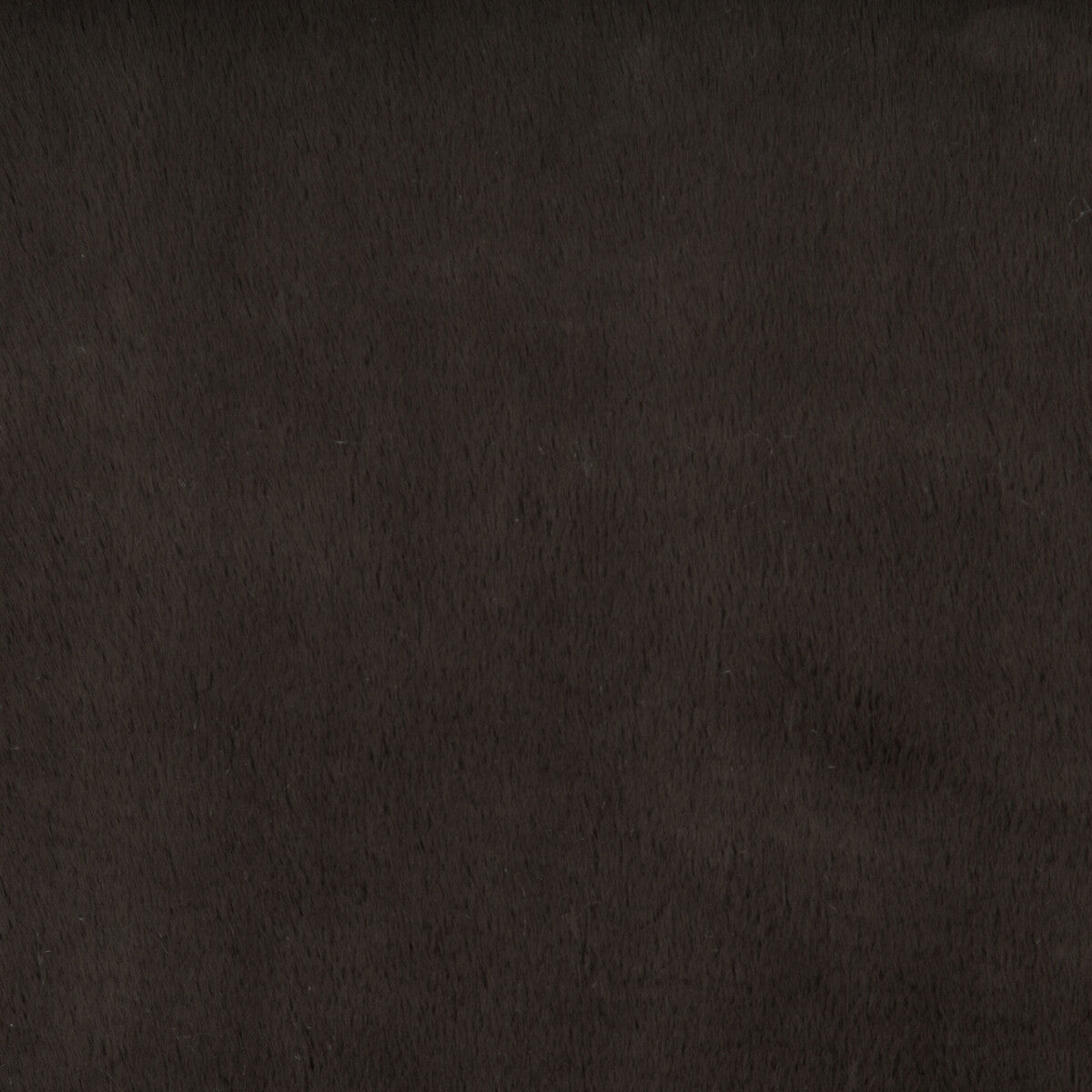 KRAVET BASICS KRAVET BASICS 34642-6