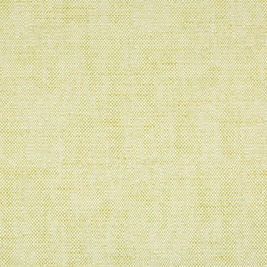 Kravet Contract: 34768.23.0