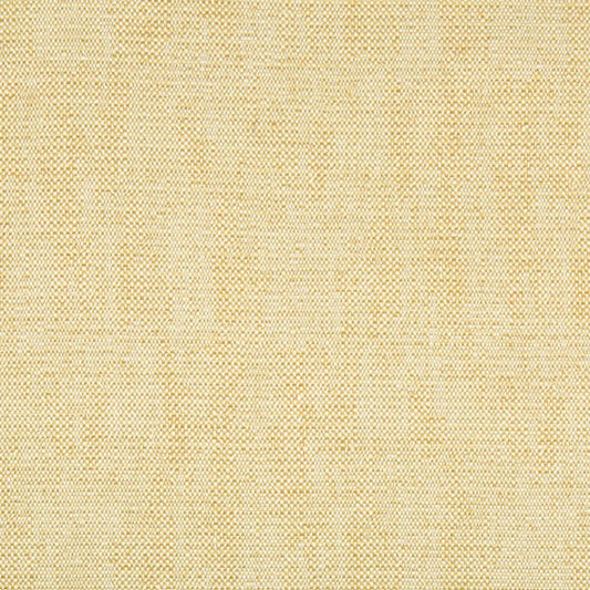 Kravet Contract: 34768.416.0