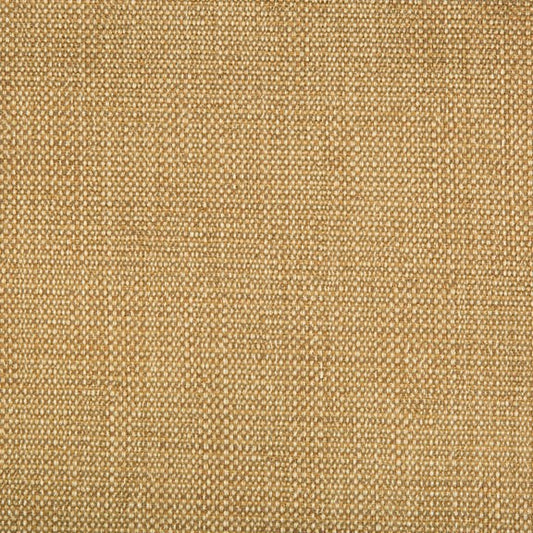 Kravet Contract: 34768.616.0