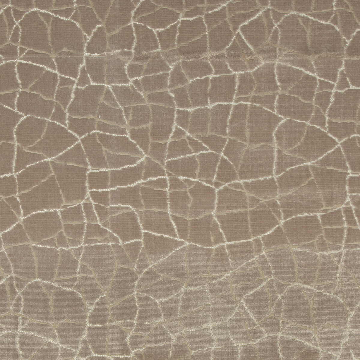 KRAVET COUTURE FORMATION FAWN