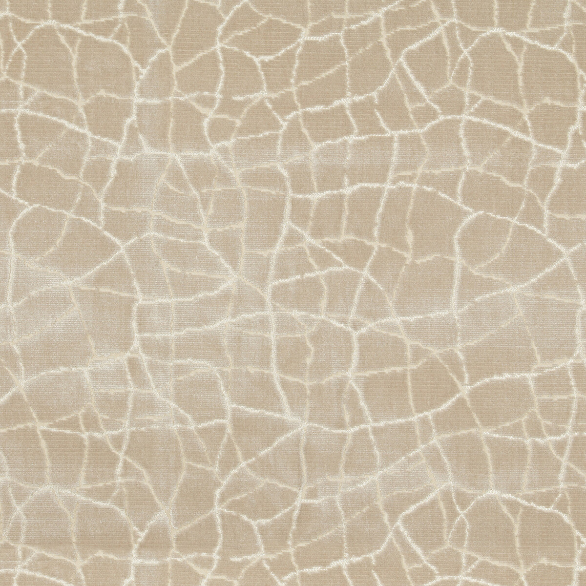 KRAVET COUTURE FORMATION CHAMPAGNE