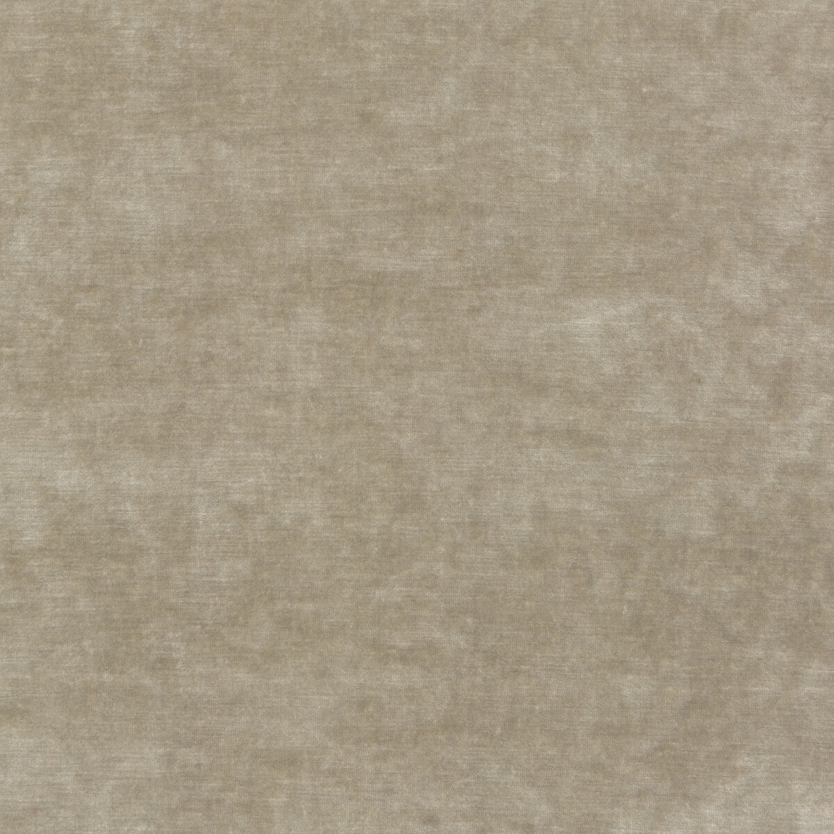 KRAVET COUTURE QUEEN'S VELVET PARCHMENT