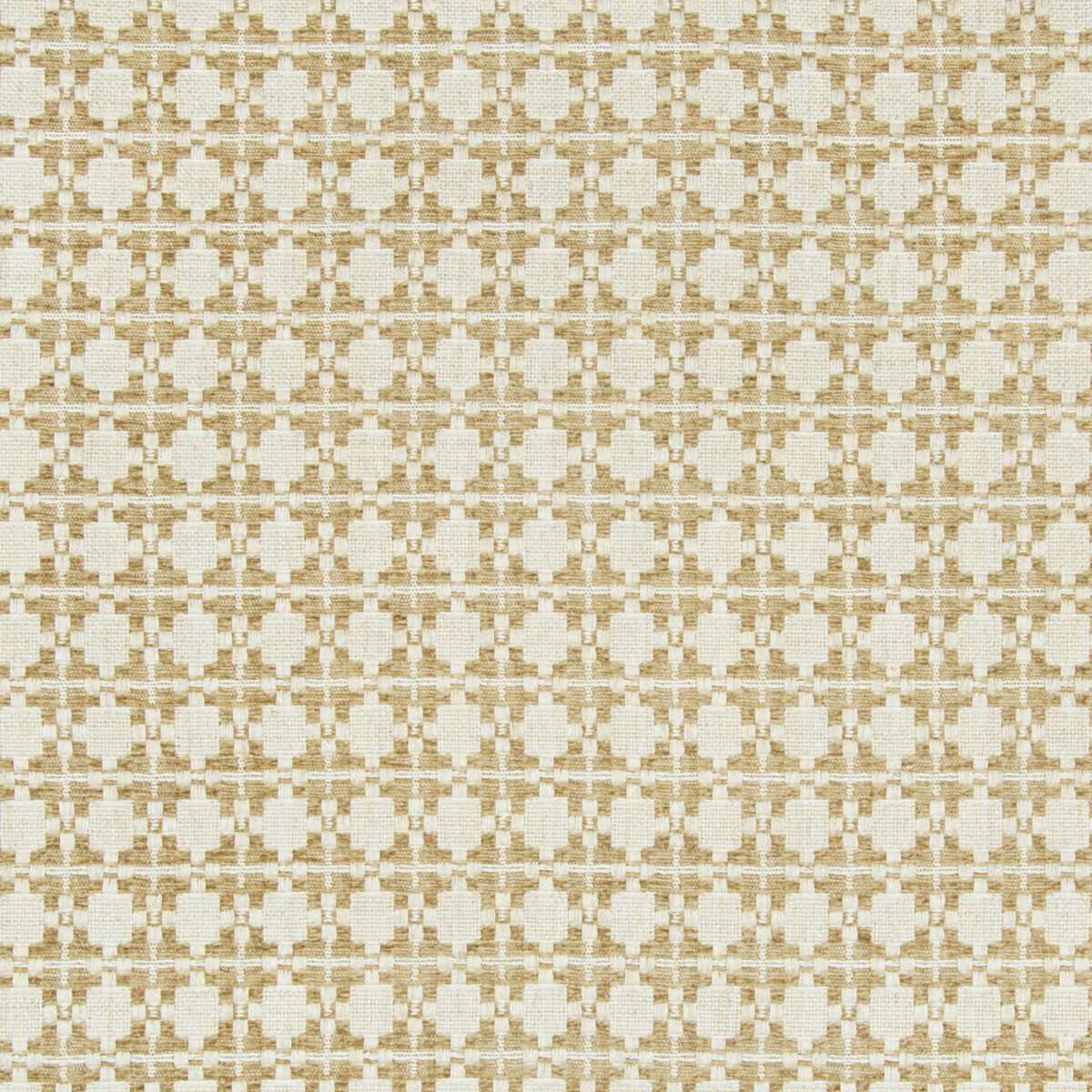 KRAVET COUTURE BACK IN STYLE CAMEL
