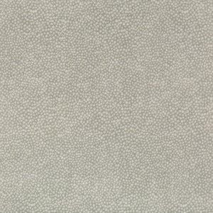 Jeffrey Alan Marks for Kravet: Pebbledot 35064.11.0 Stone