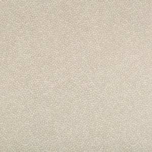 Jeffrey Alan Marks for Kravet: Pebbledot 35064.16.0 Sand