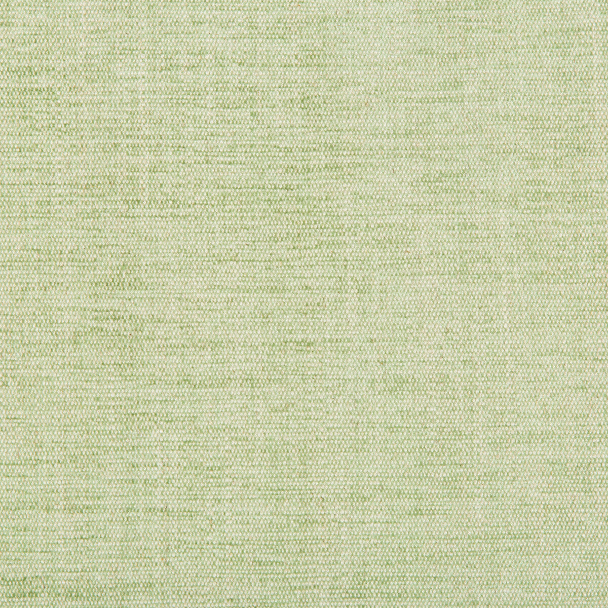 KRAVET BASICS RUTLEDGE LEAF