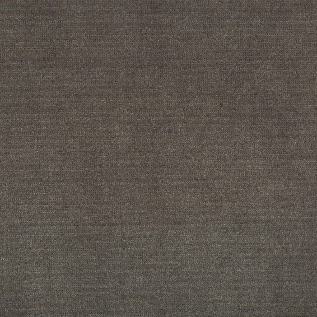 KRAVET SMART CHESSFORD SHARK