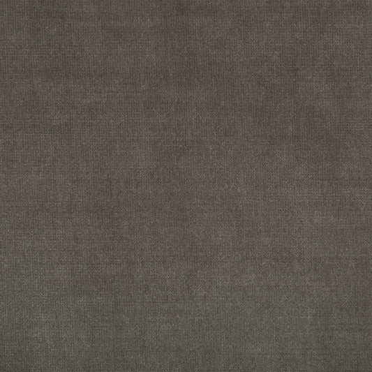 KRAVET SMART CHESSFORD SHARK