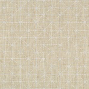 Nate Berkus for Kravet: Appointed 35380.116.0 Papyrus