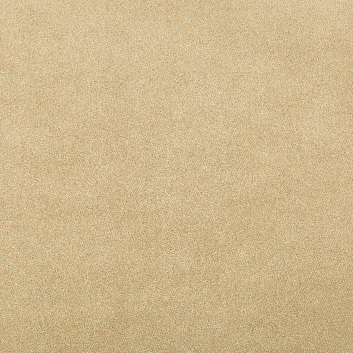 KRAVET CONTRACT MADISON VELVET SANDALWOOD