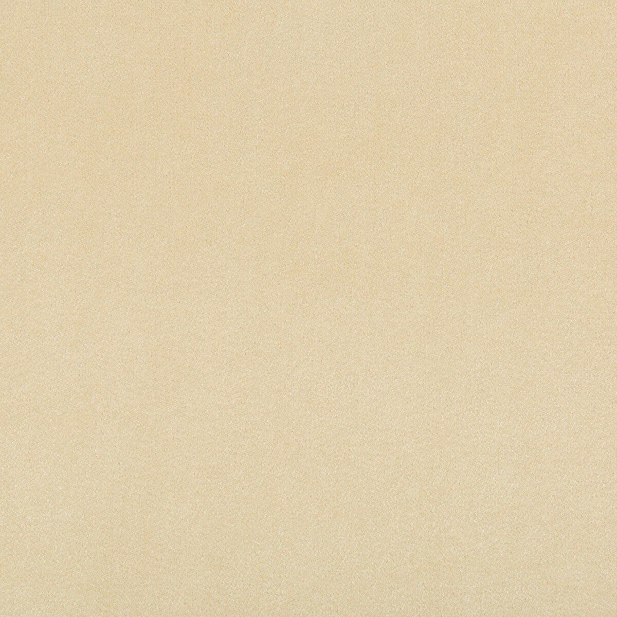 KRAVET CONTRACT MADISON VELVET PAPYRUS