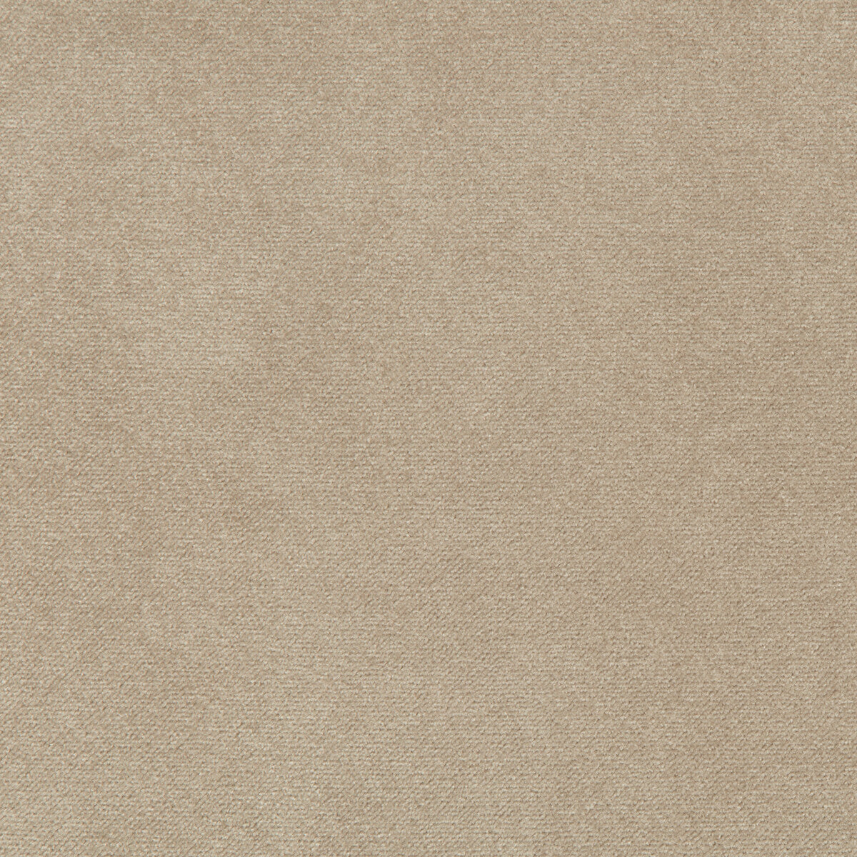 KRAVET CONTRACT MADISON VELVET PORCINI
