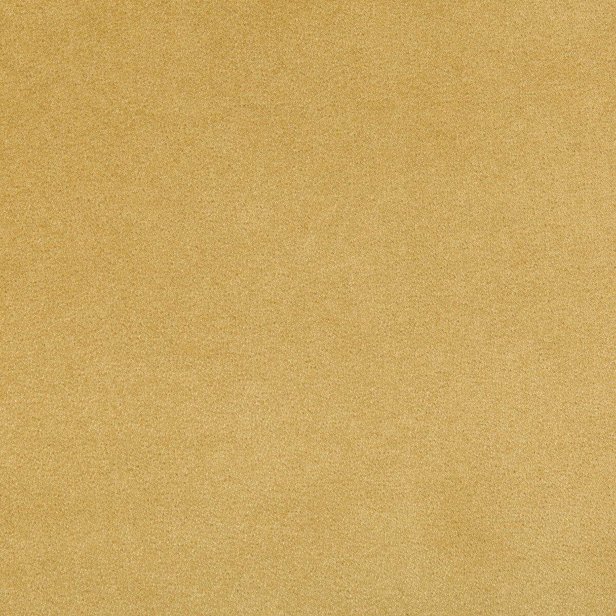 KRAVET CONTRACT MADISON VELVET MARIGOLD