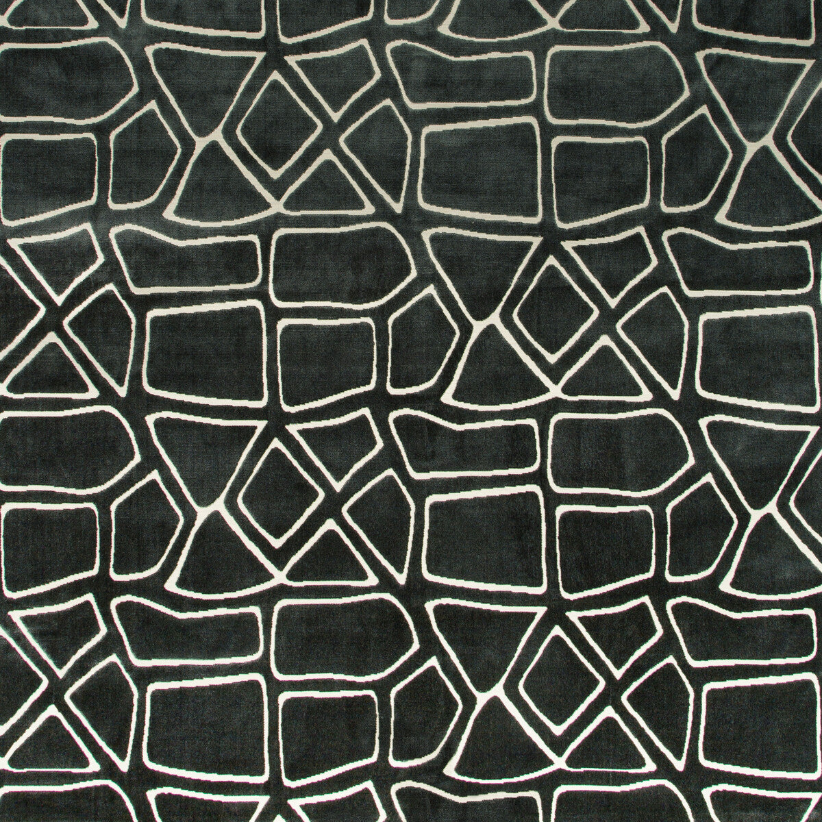 KRAVET DESIGN MURAL VELVET NEPTUNE
