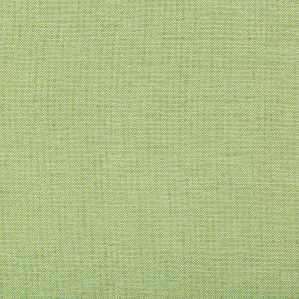 KRAVET BASICS OXFORDIAN LEAF