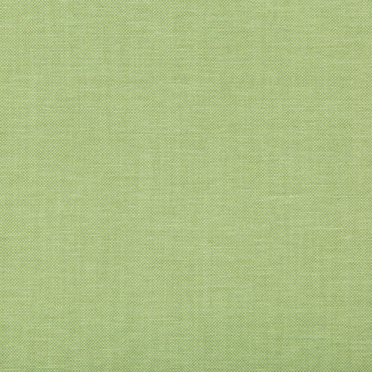 KRAVET BASICS OXFORDIAN LEAF