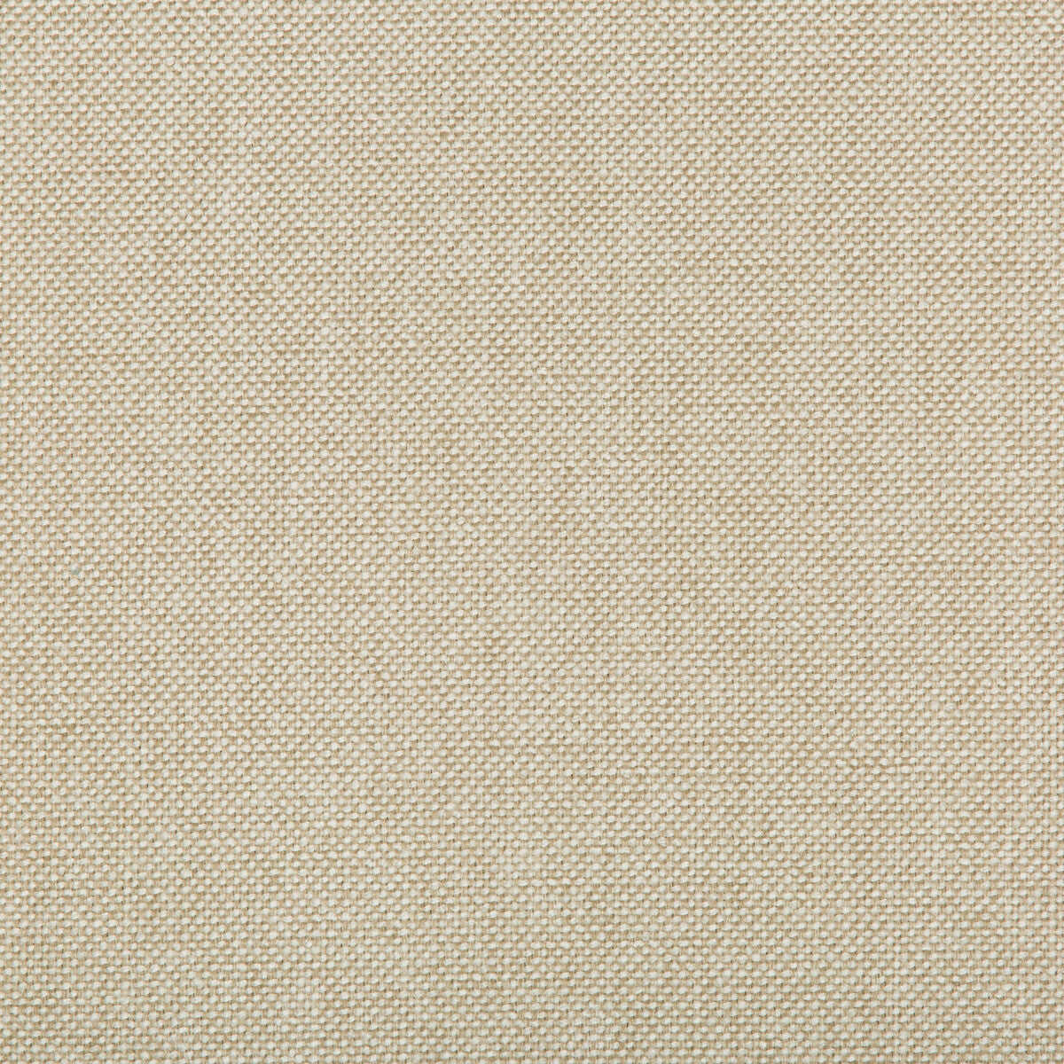 KRAVET CONTRACT WILLIAMS COCONUT
