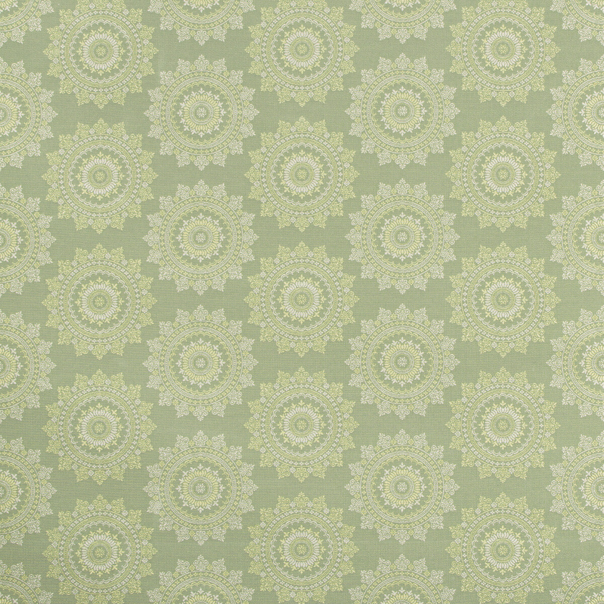 KRAVET CONTRACT PIATTO ENDIVE