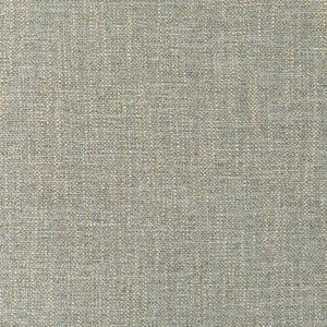 Linherr Hollingsworth for Kravet: Pasaro 35904.13.0 Natural