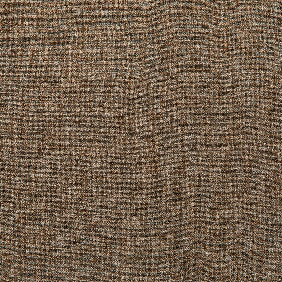 KRAVET COUTURE PASARO VICUNA