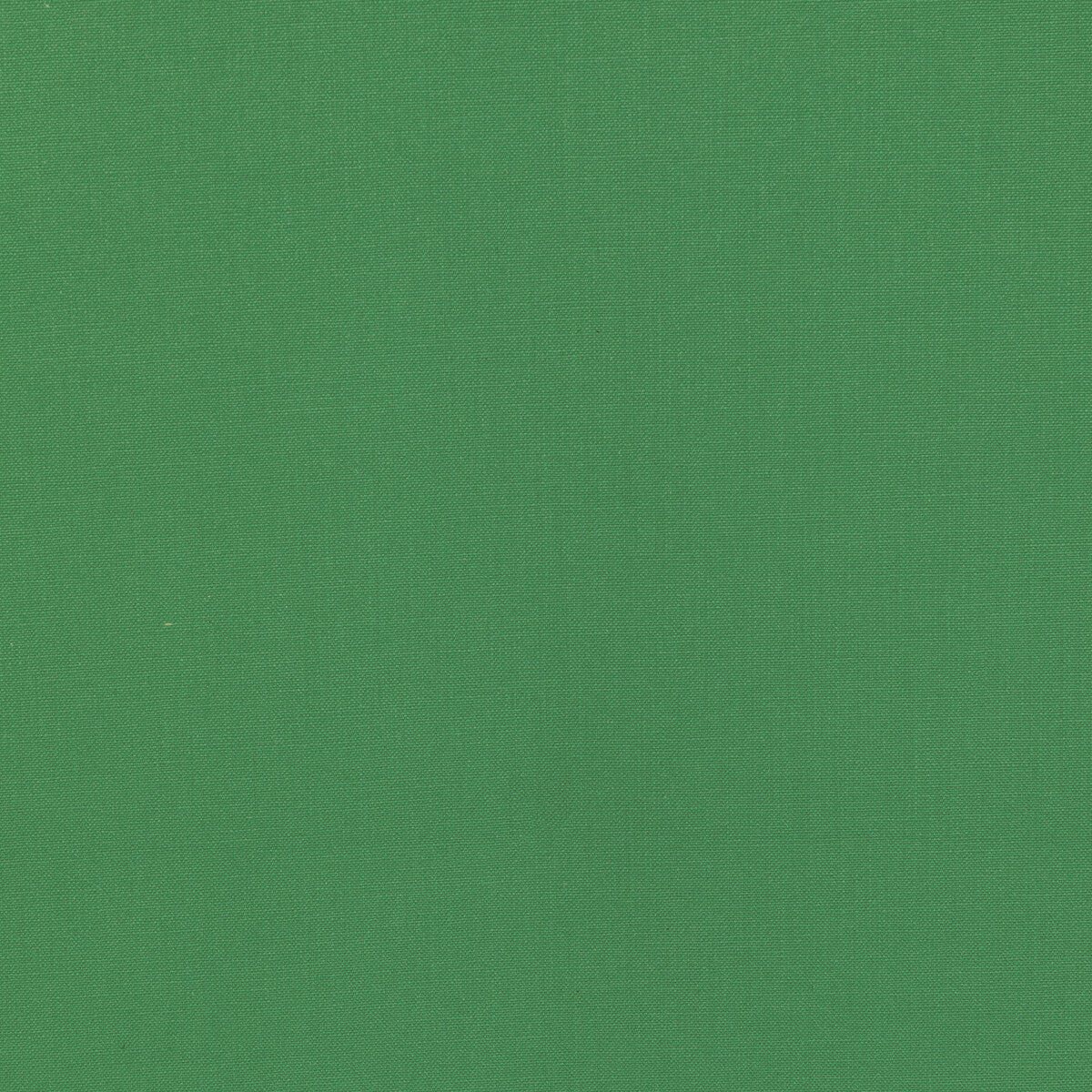 KRAVET BASICS KRAVET BASICS 36055-3