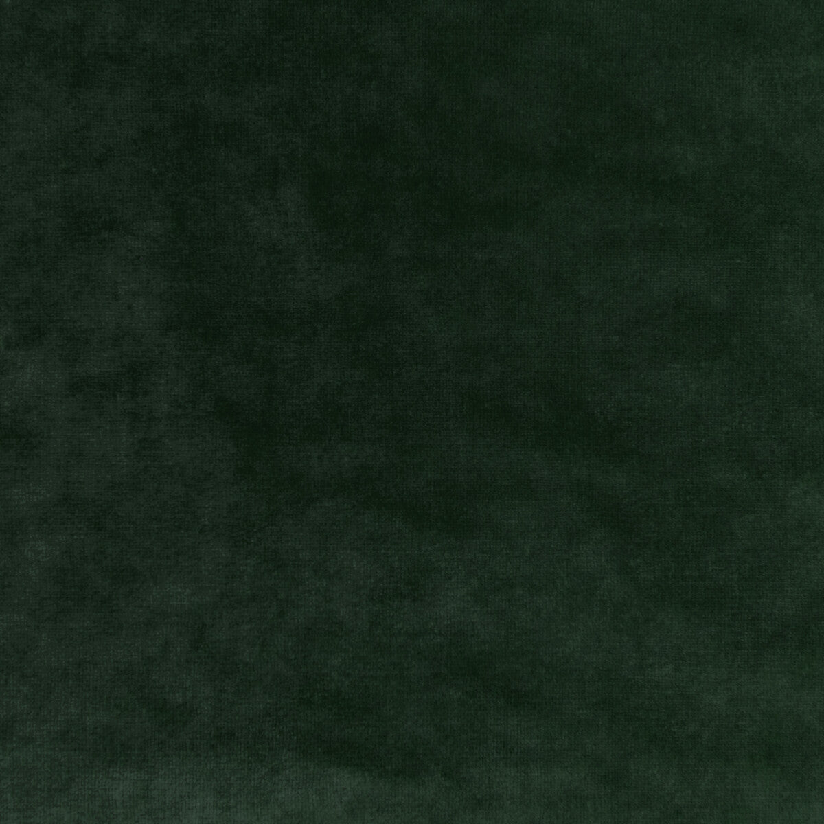 KRAVET COUTURE REGAL VELVET SAGE